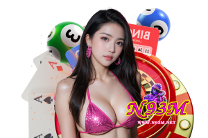 n93 ทางเข้า